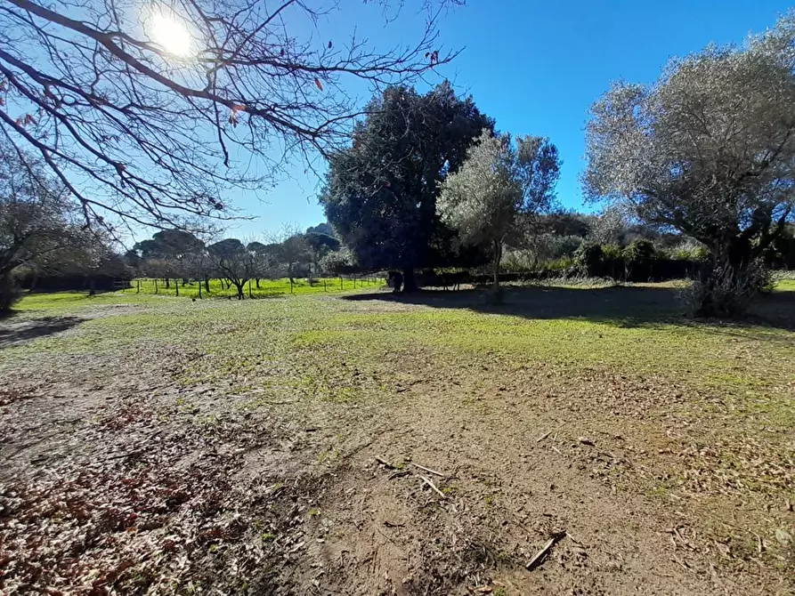 Immagine 4 di Villa in vendita  a Bracciano