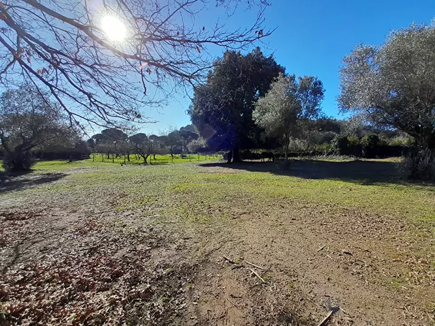 Immagine 3 di Villa in vendita  a Bracciano