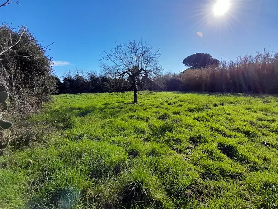 Immagine 8 di Villa in vendita  a Bracciano