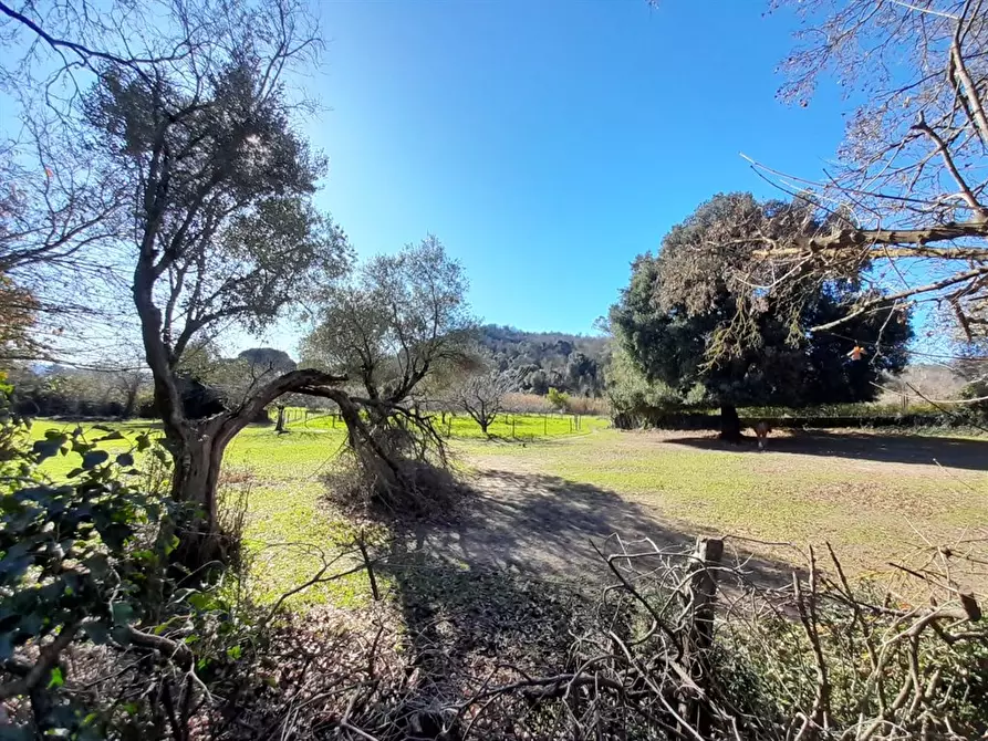 Immagine 6 di Villa in vendita  a Bracciano