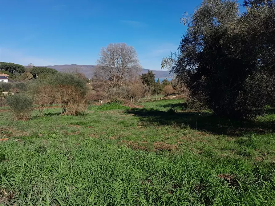 Immagine 6 di Terreno edificabile in vendita  a Bracciano