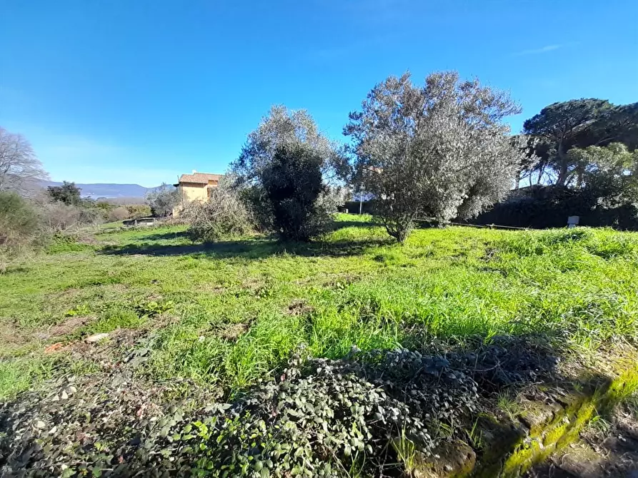 Immagine 4 di Terreno edificabile in vendita  a Bracciano