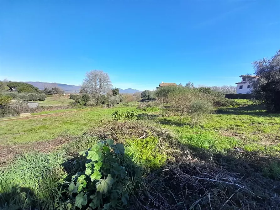 Immagine 2 di Terreno edificabile in vendita  a Bracciano