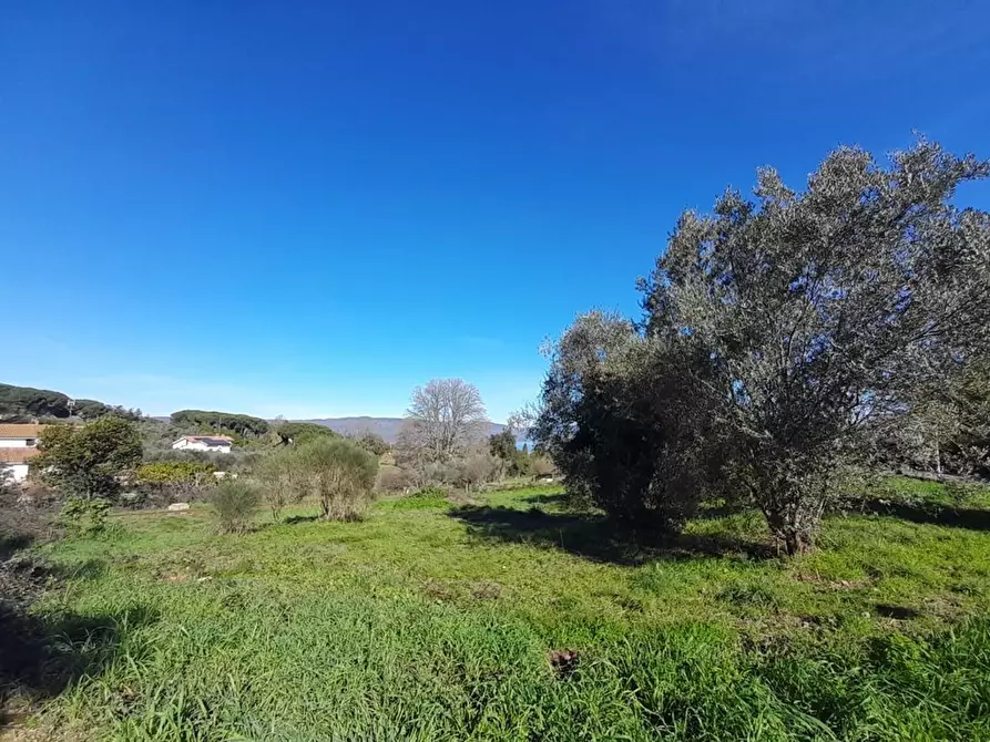 Immagine 7 di Terreno edificabile in vendita  a Bracciano