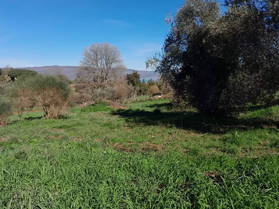 Immagine 5 di Terreno edificabile in vendita  a Bracciano