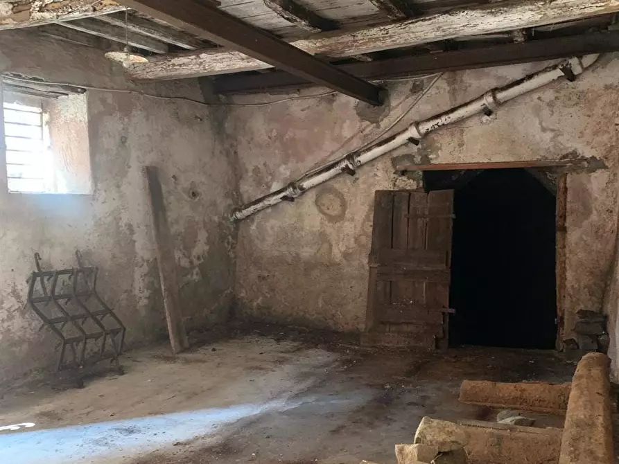 Immagine 3 di Cantina in vendita  a Bracciano