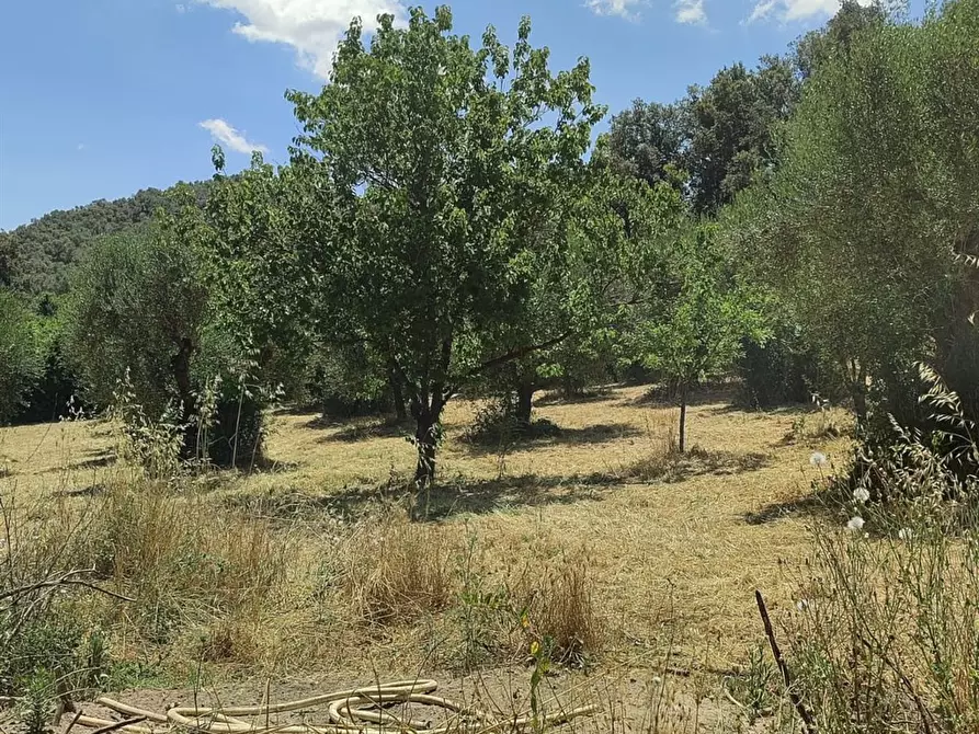 Immagine 7 di Villa in vendita  a Bracciano