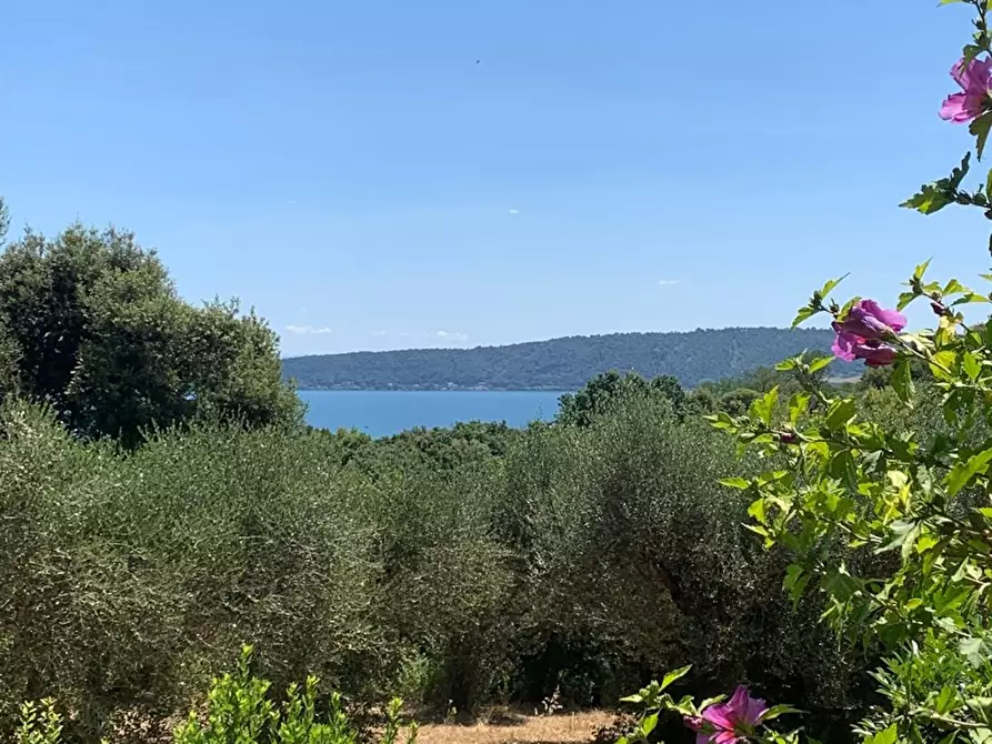 Immagine 6 di Villa in vendita  a Bracciano