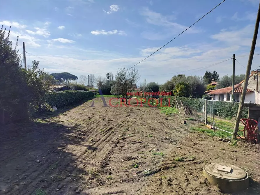 Immagine 5 di Villa in vendita  a Trevignano Romano