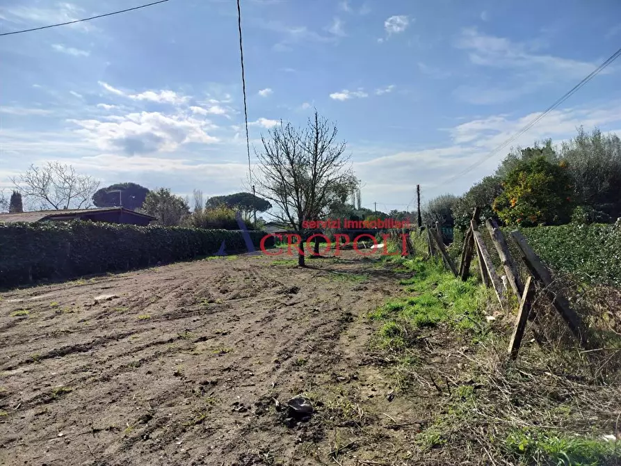 Immagine 2 di Villa in vendita  a Trevignano Romano