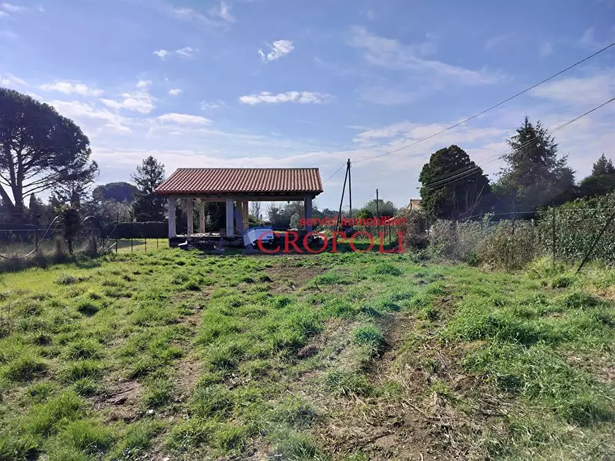 Immagine 6 di Villa in vendita  a Trevignano Romano