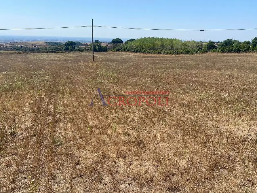 Immagine 3 di Terreno agricolo in vendita  a Anguillara Sabazia