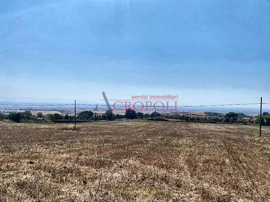 terreno agricolo in vendita ad Anguillara Sabazia