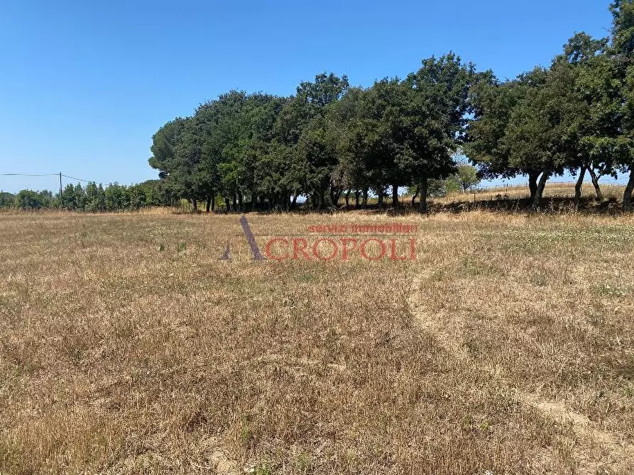 Immagine 4 di Terreno agricolo in vendita  a Anguillara Sabazia