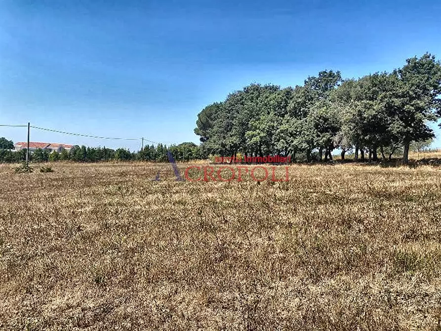 Immagine 7 di Terreno agricolo in vendita  a Anguillara Sabazia