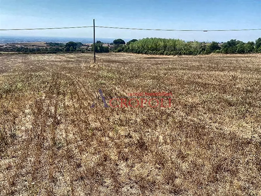 Immagine 4 di Terreno agricolo in vendita  a Anguillara Sabazia
