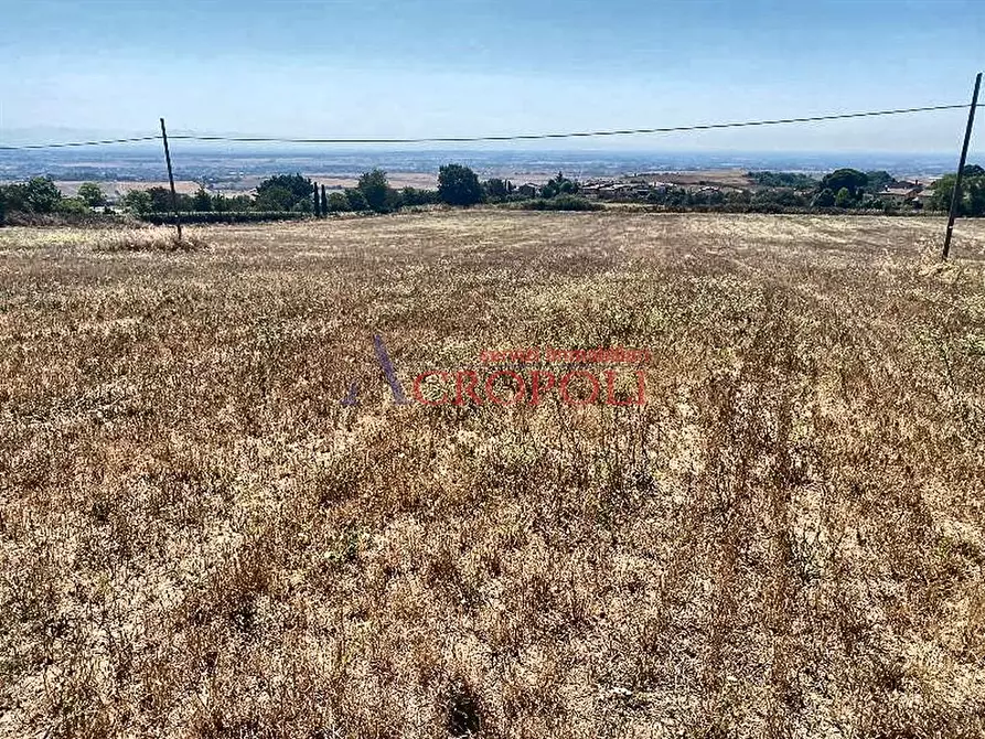 Immagine 6 di Terreno agricolo in vendita  a Anguillara Sabazia