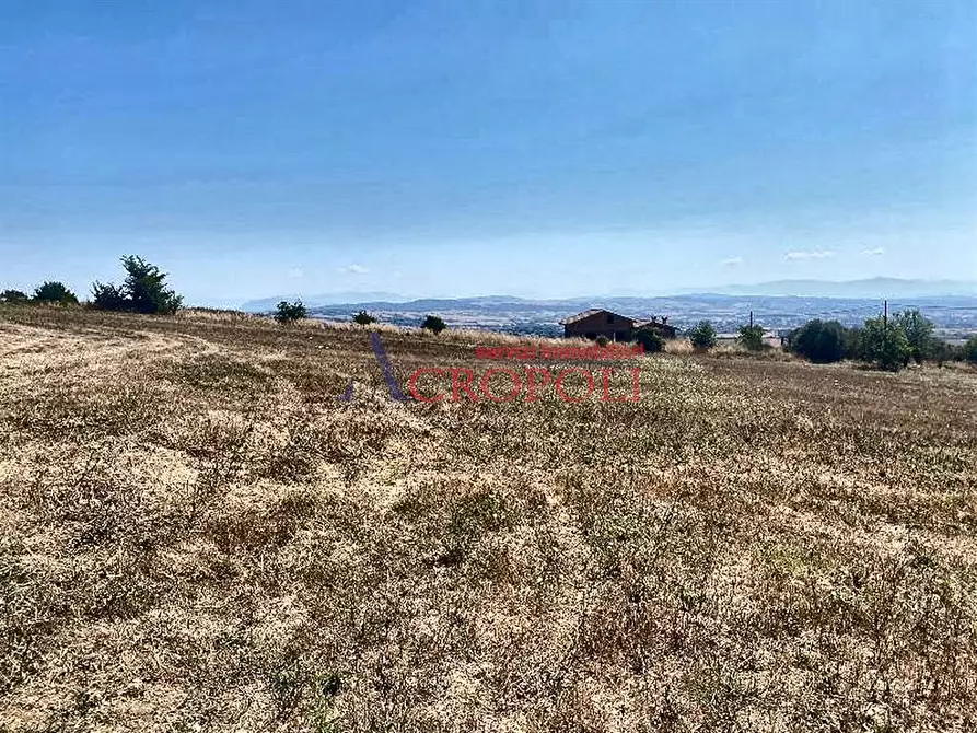 Immagine 2 di Terreno agricolo in vendita  a Anguillara Sabazia