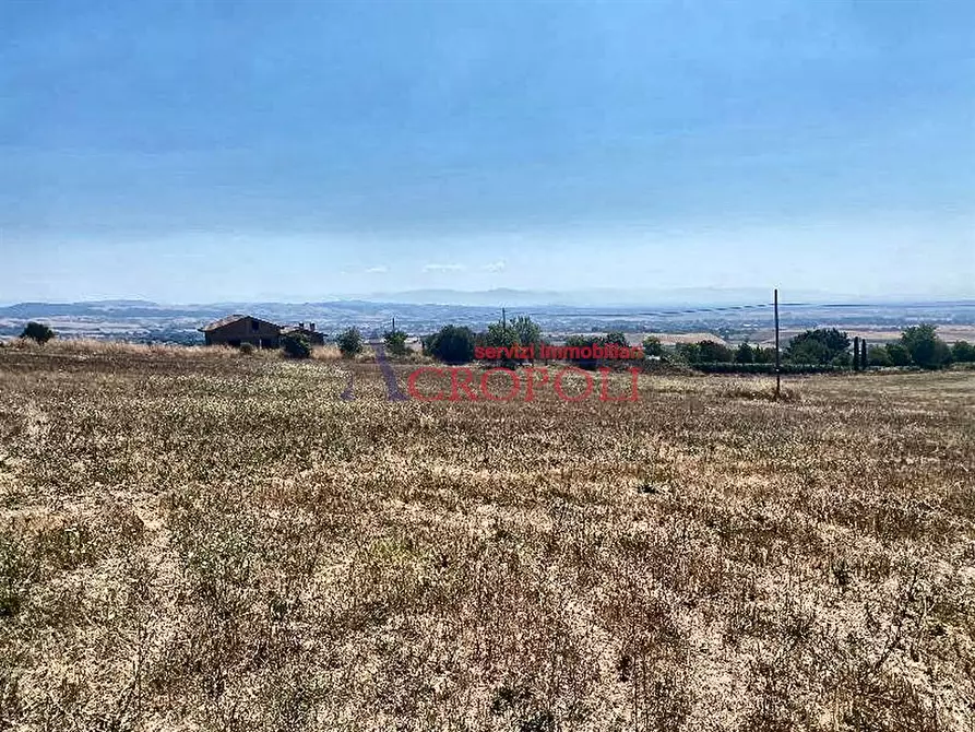 Immagine 3 di Terreno agricolo in vendita  a Anguillara Sabazia