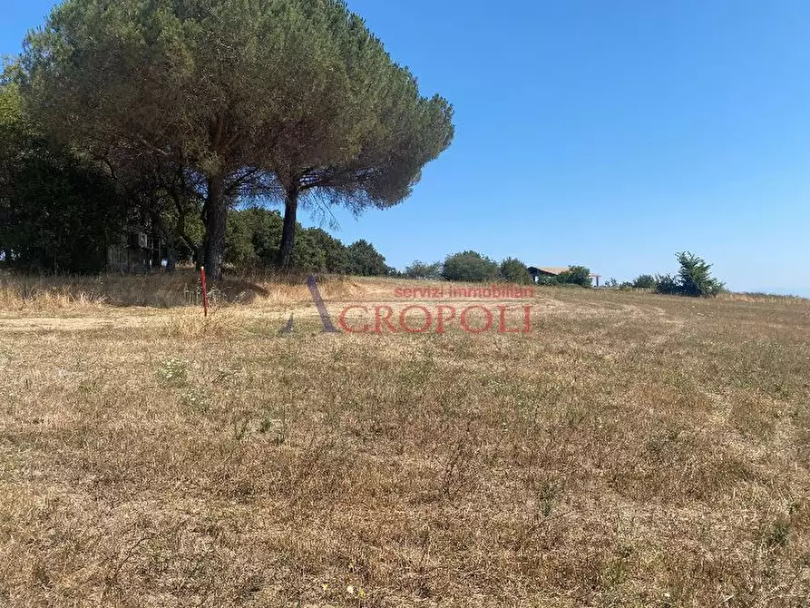 Immagine 5 di Terreno agricolo in vendita  a Anguillara Sabazia