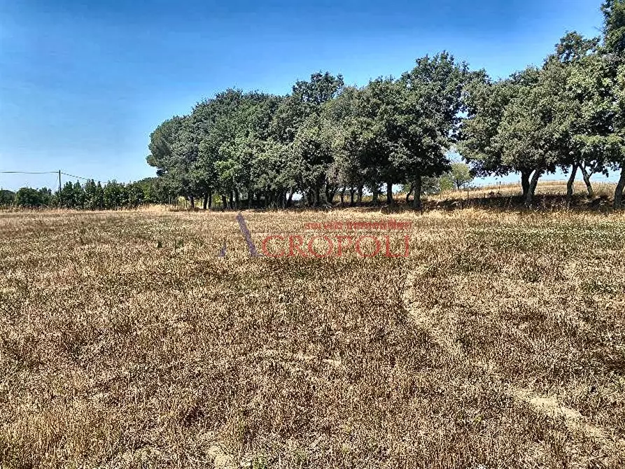 Immagine 5 di Terreno agricolo in vendita  a Anguillara Sabazia