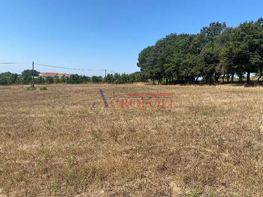 Immagine 2 di Terreno agricolo in vendita  a Anguillara Sabazia