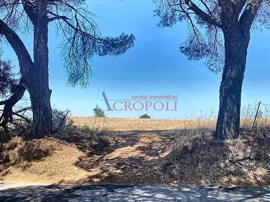 Immagine 9 di Terreno agricolo in vendita  a Anguillara Sabazia