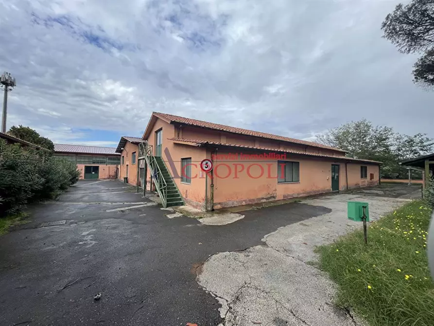 Immagine 5 di Locale commerciale in vendita  a Roma