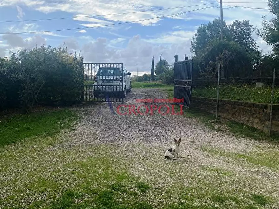 Immagine 6 di Appartamento in vendita  a Anguillara Sabazia