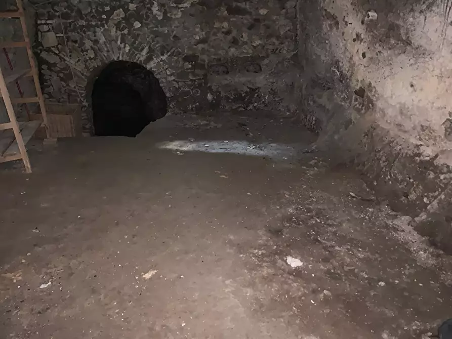 Immagine 2 di Magazzino in vendita  a Bracciano