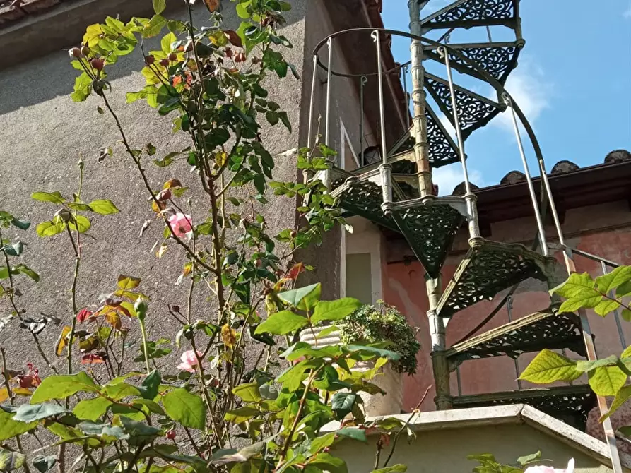 Immagine 5 di Appartamento in vendita  a Manziana