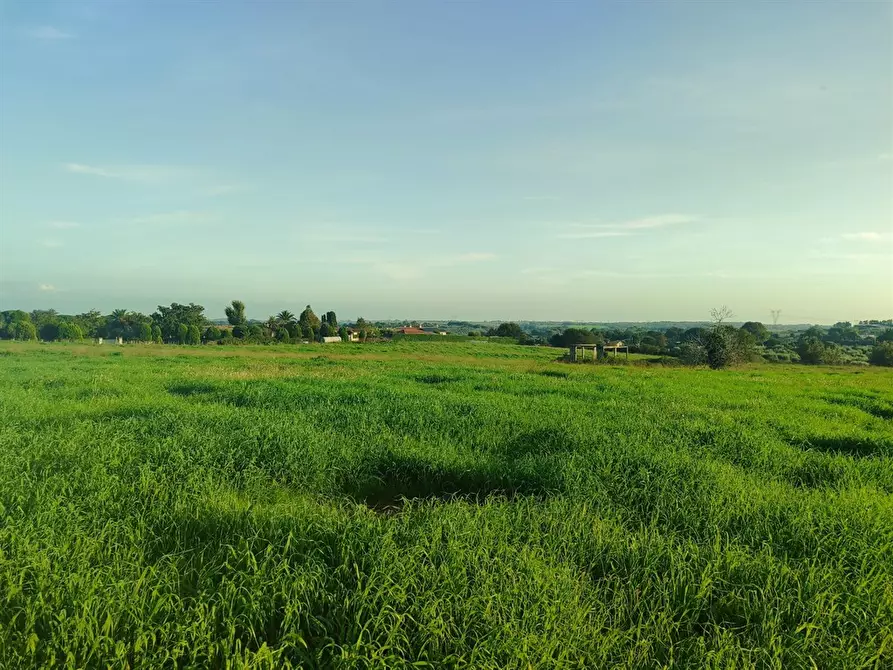 Immagine 4 di Terreno agricolo in vendita  a Bracciano