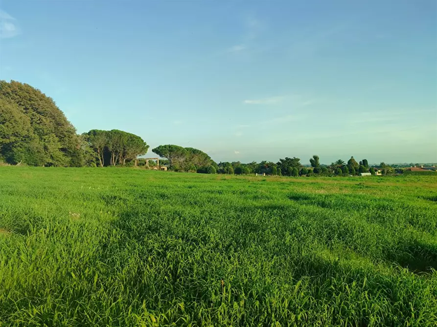 Immagine 7 di Terreno agricolo in vendita  a Bracciano