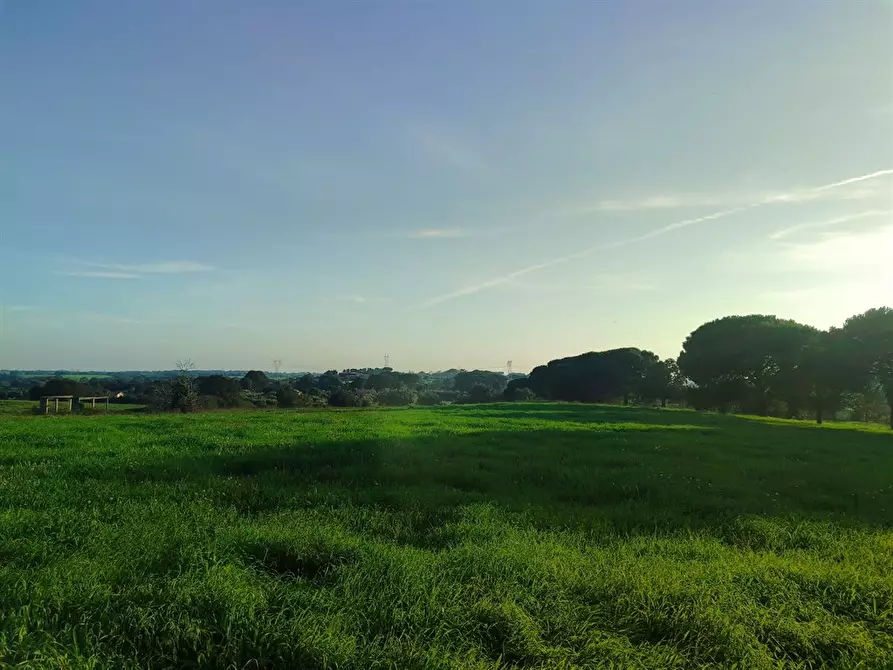 Immagine 5 di Terreno agricolo in vendita  a Bracciano