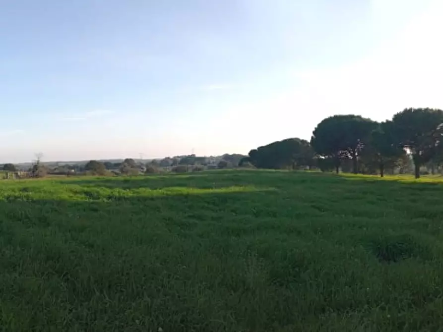 Immagine 1 di Terreno agricolo in vendita  a Bracciano