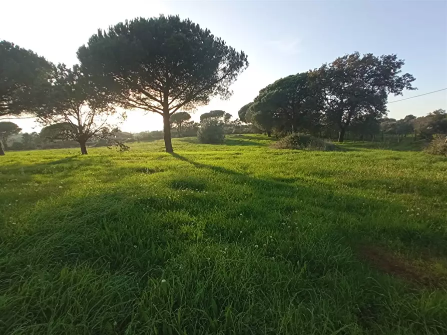 Immagine 8 di Terreno agricolo in vendita  a Bracciano