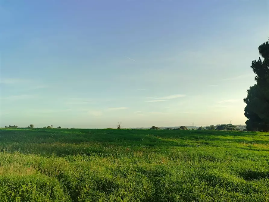 Immagine 3 di Terreno agricolo in vendita  a Bracciano