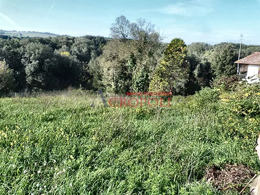Immagine 1 di Terreno edificabile in vendita  a Anguillara Sabazia