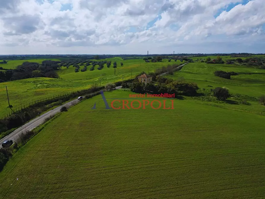 Immagine 2 di Terreno agricolo in vendita  a Fiumicino