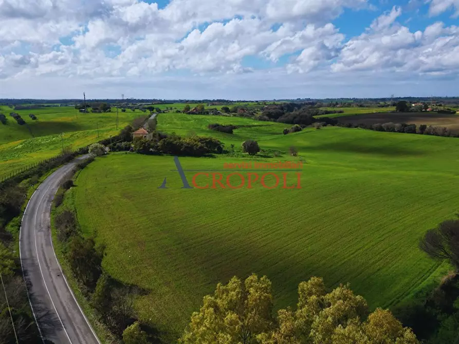Immagine 3 di Terreno agricolo in vendita  a Fiumicino