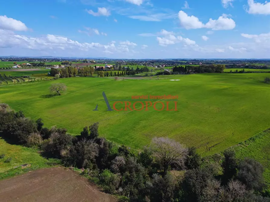 Immagine 1 di Terreno agricolo in vendita  a Fiumicino