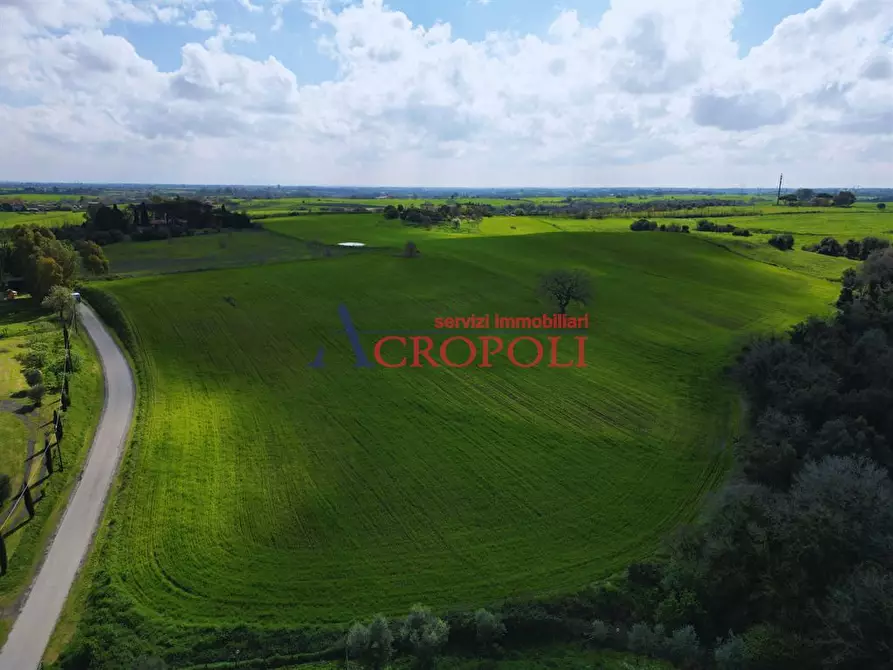 Immagine 4 di Terreno agricolo in vendita  a Fiumicino