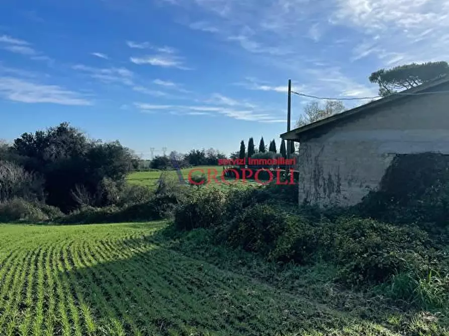 Immagine 2 di Magazzino in vendita  in Via del Casale di Sant'Angelo a Fiumicino