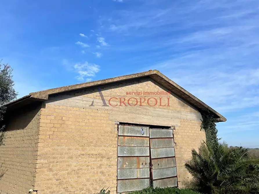 Immagine 4 di Magazzino in vendita  in Via del Casale di Sant'Angelo a Fiumicino