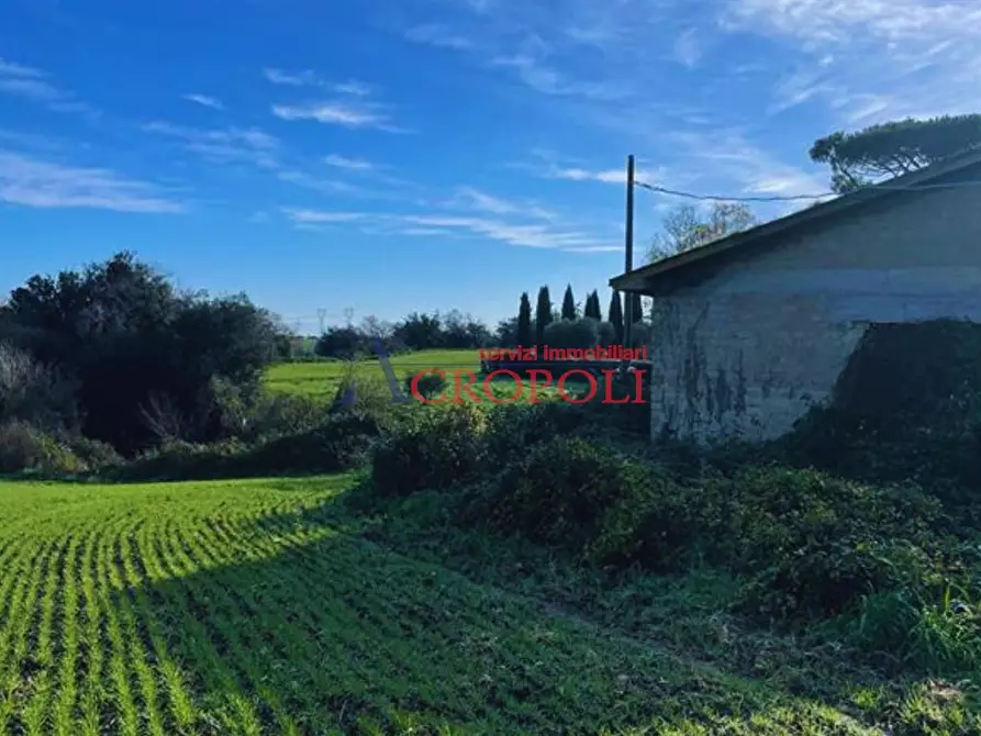 Immagine 7 di Magazzino in vendita  in Via del Casale di Sant'Angelo a Fiumicino