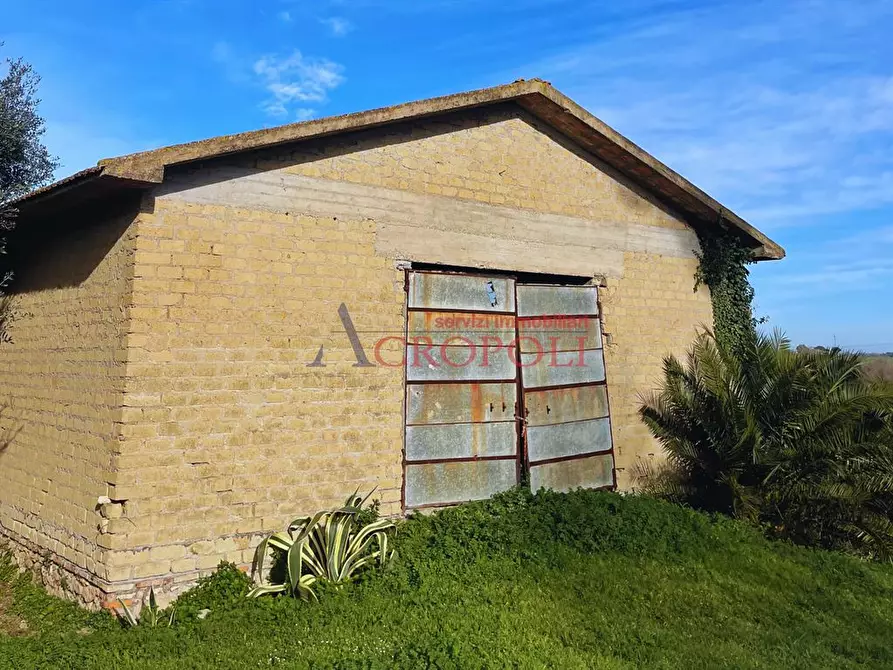 Immagine 6 di Magazzino in vendita  in Via del Casale di Sant'Angelo a Fiumicino