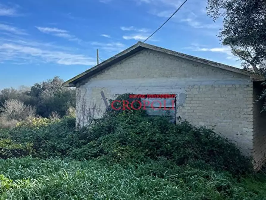 Immagine 5 di Magazzino in vendita  in Via del Casale di Sant'Angelo a Fiumicino