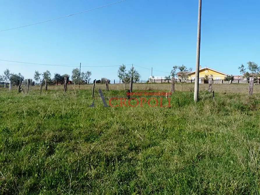 Immagine 4 di Terreno edificabile in vendita  a Anguillara Sabazia