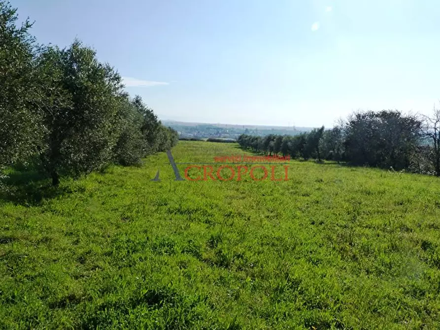Immagine 3 di Terreno edificabile in vendita  a Anguillara Sabazia
