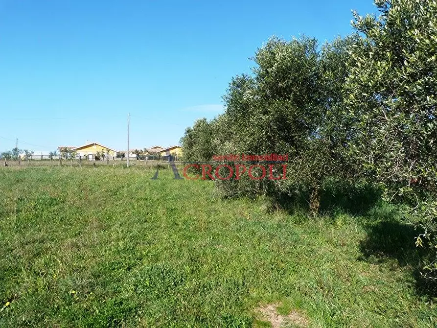 Immagine 2 di Terreno edificabile in vendita  a Anguillara Sabazia
